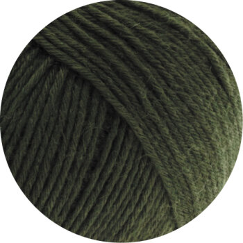 ALPINA Landhauswolle | 7 - Loden *