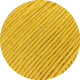 SOFT COTTON | 42 - Curry *
