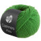 CASHMERE KISS | 115 - Grün *