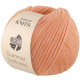 SUMMER SOFTNESS | 5 - Apricot *