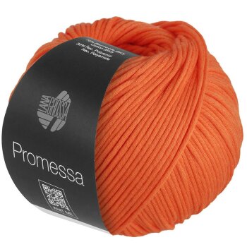 PROMESSA | 30 - Kürbis*