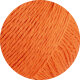 CAMPO | 28 - Mandarin