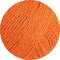 CAMPO | 28 - Mandarin